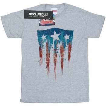 textil Hombre Camisetas manga larga Marvel Captain America Flag Shield Gris