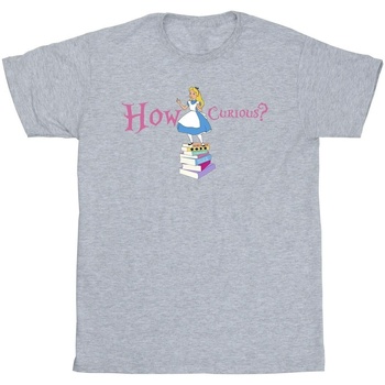 textil Niña Camisetas manga larga Disney Alice In Wonderland How Curious Gris