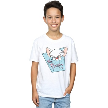 textil Niño Tops y Camisetas Animaniacs The Brain Mugshot Blanco