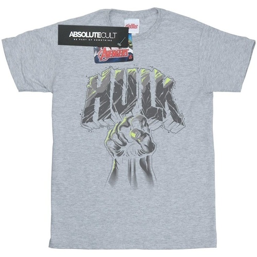textil Hombre Camisetas manga larga Marvel Hulk Punch Logo Gris