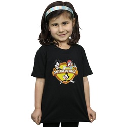 textil Niña Camisetas manga larga Animaniacs Logo Crest Negro