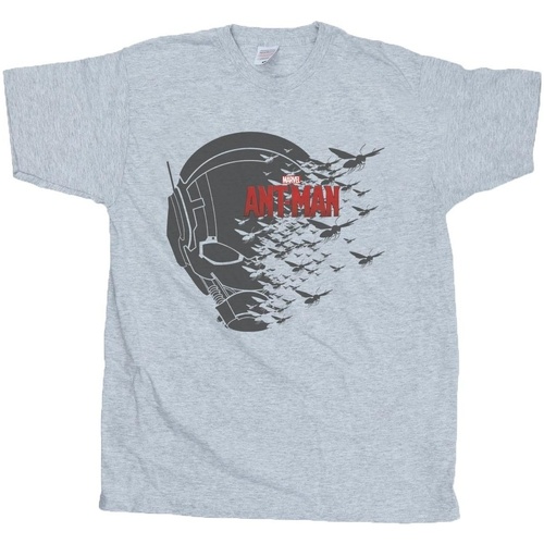 textil Niño Camisetas manga corta Marvel Ant-Man Flying Helmet Gris