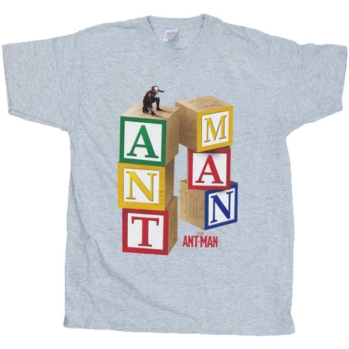 textil Niño Camisetas manga corta Marvel Ant-Man Blocks Gris