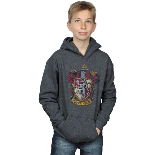 textil Niño Sudaderas Harry Potter Gryffindor Distressed Crest Gris