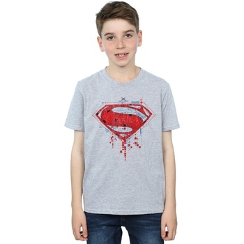 textil Niño Camisetas manga corta Dc Comics Superman Geo Logo Gris