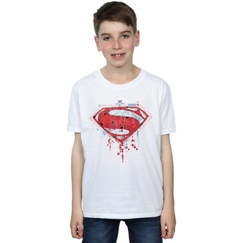 textil Niño Camisetas manga corta Dc Comics Superman Geo Logo Blanco