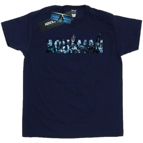 textil Hombre Camisetas manga larga Dc Comics Aquaman Text Logo Azul