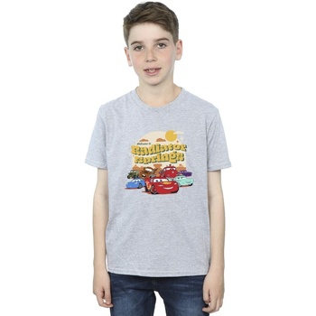 textil Niño Camisetas manga corta Disney Cars Radiator Springs Group Gris