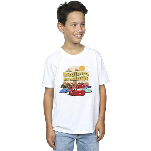 textil Niño Camisetas manga corta Disney Cars Radiator Springs Group Blanco