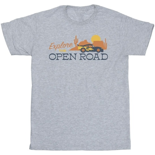 textil Niña Camisetas manga larga Disney Cars Explore The Open Road Gris
