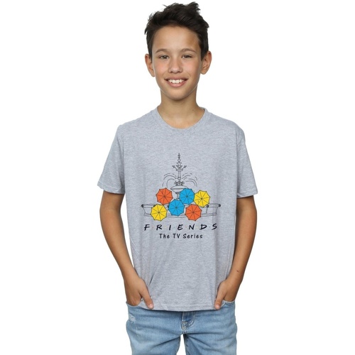 textil Niño Tops y Camisetas Friends BI18031 Gris