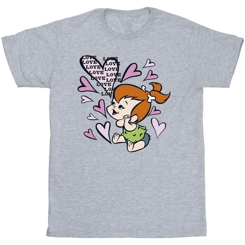 textil Niña Camisetas manga larga The Flintstones Pebbles Love Love Love Gris