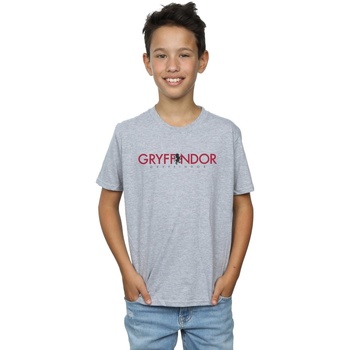 textil Niño Tops y Camisetas Harry Potter Gryffindor Text Gris