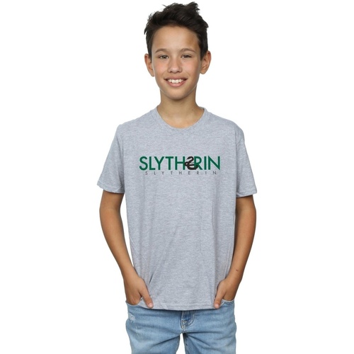 textil Niño Tops y Camisetas Harry Potter Slytherin Text Gris
