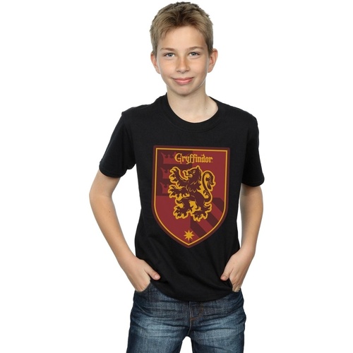 textil Niño Tops y Camisetas Harry Potter Gryffindor Crest Flat Negro