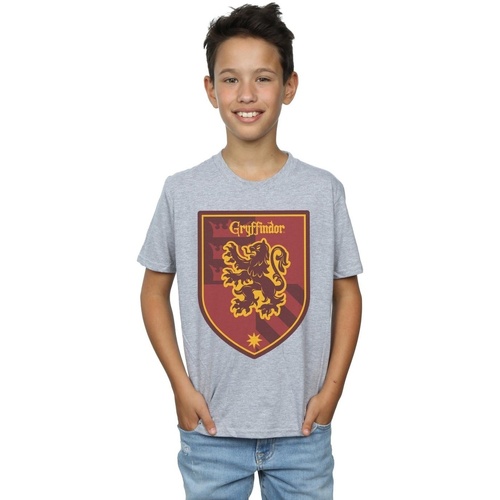 textil Niño Camisetas manga corta Harry Potter Gryffindor Crest Flat Gris