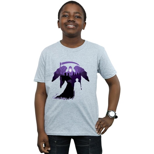 textil Niño Camisetas manga corta Harry Potter Graveyard Silhouette Gris