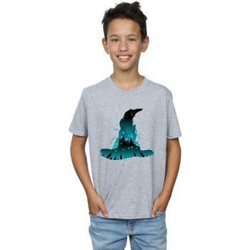 textil Niño Tops y Camisetas Harry Potter BI20339 Gris
