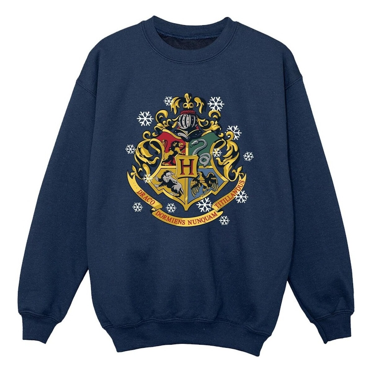 textil Niño Sudaderas Harry Potter Christmas Crest Azul