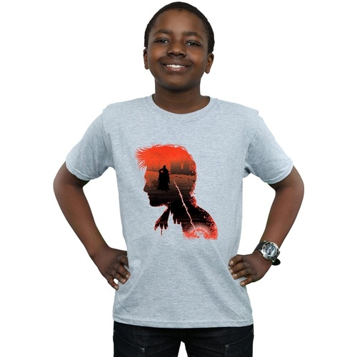 textil Niño Tops y Camisetas Harry Potter Battle Silhouette Gris