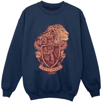 textil Niño Sudaderas Harry Potter Gryffindor Sketch Crest Azul