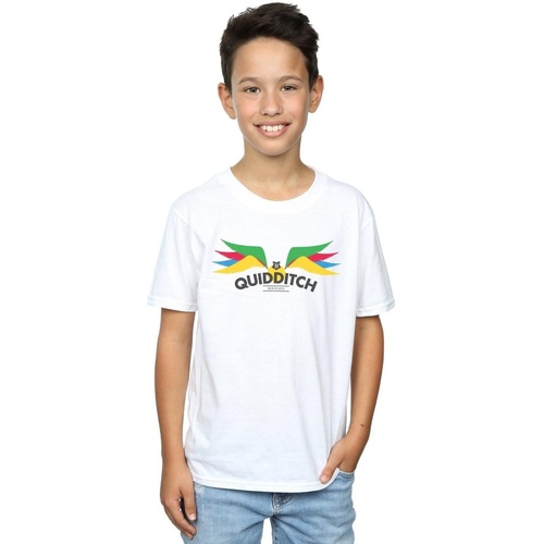 textil Niño Tops y Camisetas Harry Potter Snitch Wings Pastels Blanco