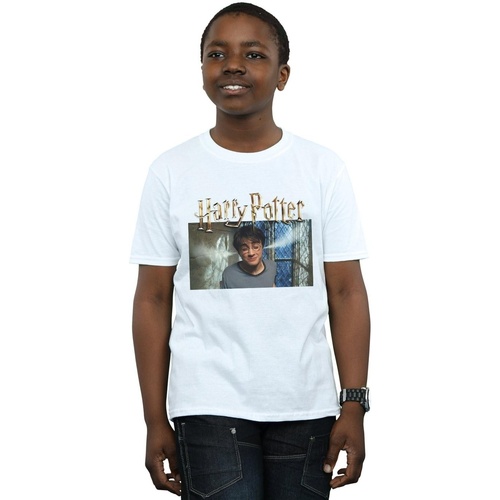 textil Niño Camisetas manga corta Harry Potter Steam Ears Blanco