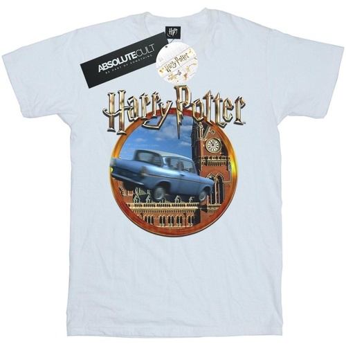 textil Niño Camisetas manga corta Harry Potter Flying Car Blanco