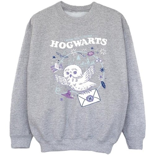 textil Niña Sudaderas Harry Potter Owl Letter From Hogwarts Gris
