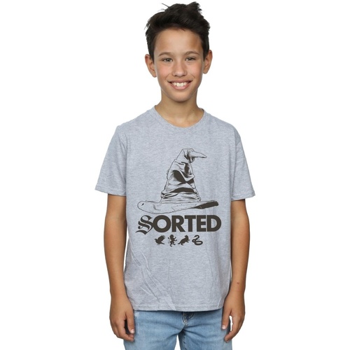textil Niño Tops y Camisetas Harry Potter BI20834 Gris