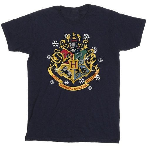textil Niño Camisetas manga corta Harry Potter Christmas Crest Azul