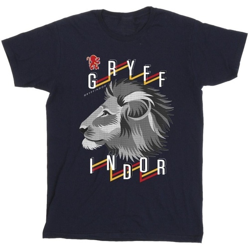 textil Niño Tops y Camisetas Harry Potter Gryffindor Lion Icon Azul