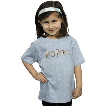 textil Niña Camisetas manga larga Harry Potter Full Colour Logo Gris