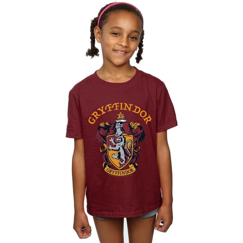 textil Niña Camisetas manga larga Harry Potter BI21613 Multicolor