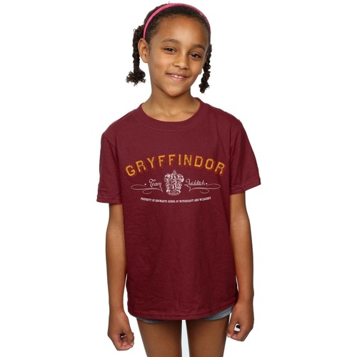 textil Niña Camisetas manga larga Harry Potter Gryffindor Team Quidditch Multicolor