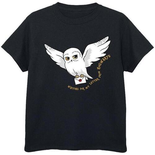 textil Niña Camisetas manga larga Harry Potter Owl Letter Negro