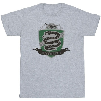 textil Niña Camisetas manga larga Harry Potter Slytherin Chest Badge Gris