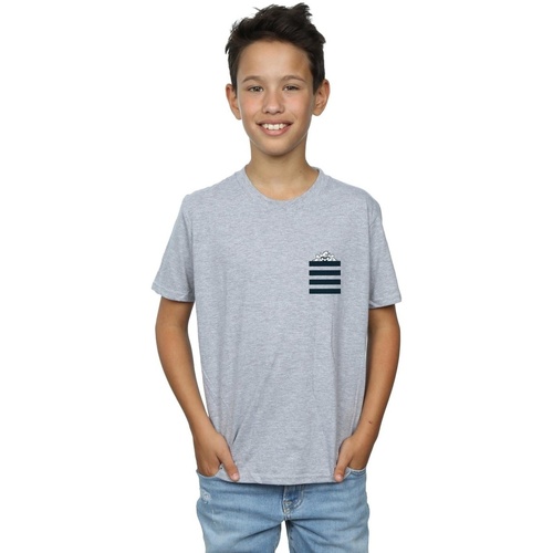 textil Niño Tops y Camisetas Dessins Animés BI23131 Gris