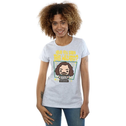 textil Mujer Camisetas manga larga Harry Potter BI23167 Gris
