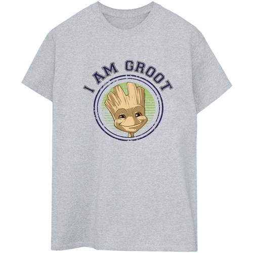 textil Mujer Camisetas manga larga Guardians Of The Galaxy Groot Varsity Gris