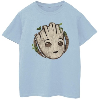 textil Niño Camisetas manga corta Marvel I Am Groot Wooden Head Azul