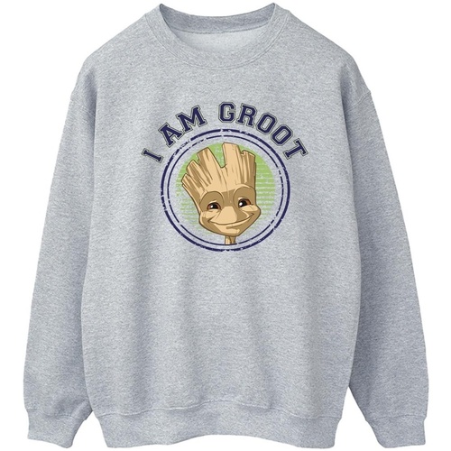 textil Hombre Sudaderas Guardians Of The Galaxy Groot Varsity Gris
