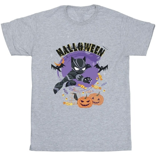 textil Niña Camisetas manga larga Marvel Black Panther Halloween Gris