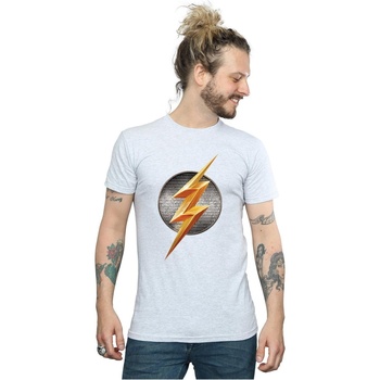textil Hombre Camisetas manga larga Dc Comics Justice League Movie Flash Emblem Gris