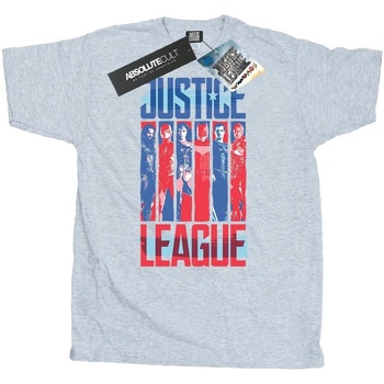 textil Hombre Camisetas manga larga Dc Comics Justice League Movie Team Flag Gris