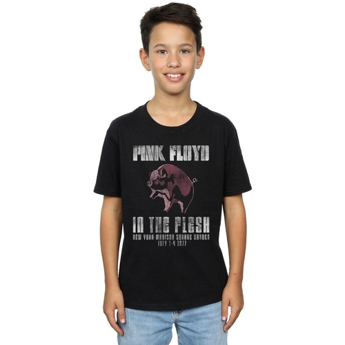 textil Niño Camisetas manga corta Pink Floyd In The Flesh Negro