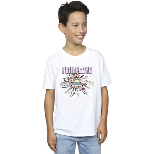 textil Niño Camisetas manga corta Pink Floyd Pastel Triangle Blanco