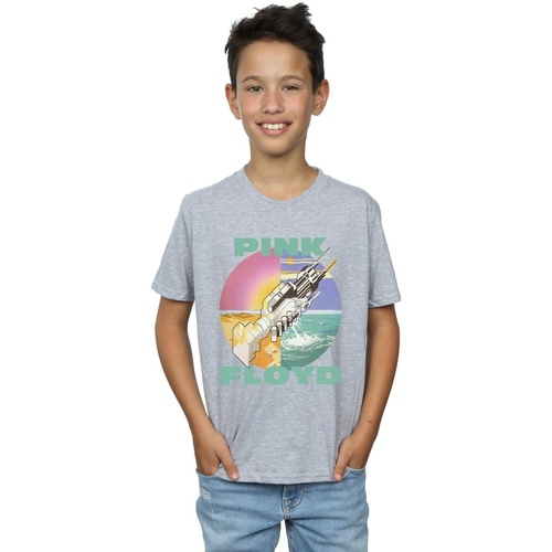 textil Niño Tops y Camisetas Pink Floyd BI32171 Gris