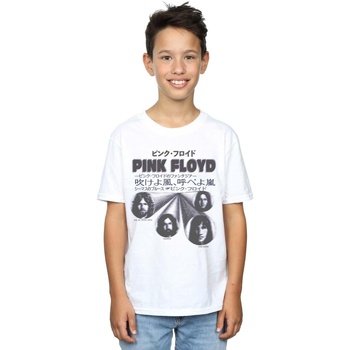 textil Niño Camisetas manga corta Pink Floyd  Blanco