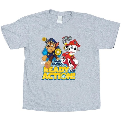 textil Niña Camisetas manga larga Nickelodeon Paw Patrol Ready For Action Gris
